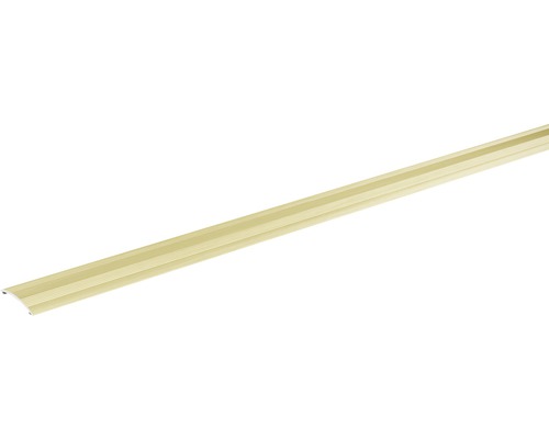 Anpassungsprofil champagner eloxiert selbstklebend 28x4x900 mm Bodenprofil aus Metall