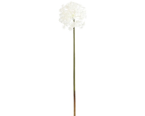 Kunstblume Allium Höhe: 58 cm weiß