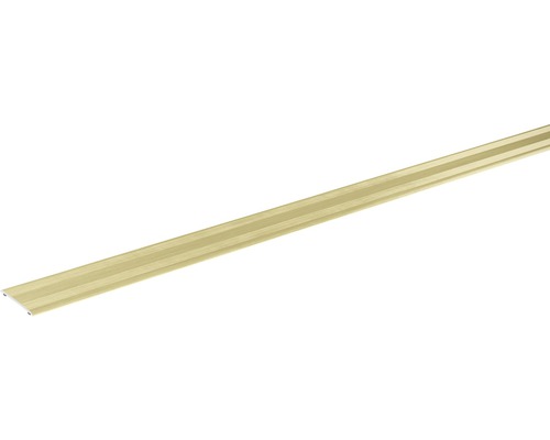 Übergangsprofil champagner eloxiert selbstklebend 28x2x900 mm Profilleiste aus Aluminium