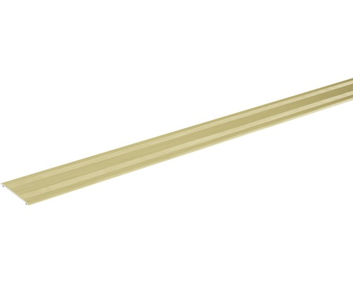 Übergangsprofil champagner eloxiert selbstklebend 38x2x900 mm Übergangsprofil aus Aluminium