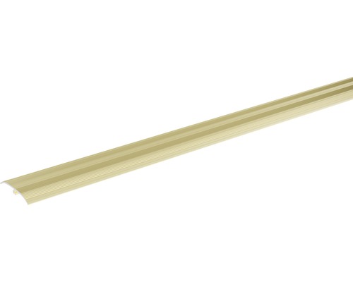 SKANDOR Universalprofil champagner eloxiert selbstklebend inkl. Dübel 5,5x37x900 mm Profilleiste aus Metall