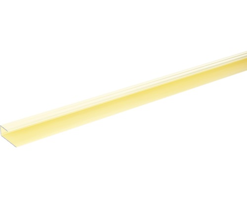 SKANDOR Einfassprofil champagner eloxiert für 8-9 mm Böden 11x29x900 mm Kunststoff Abschlussprofil