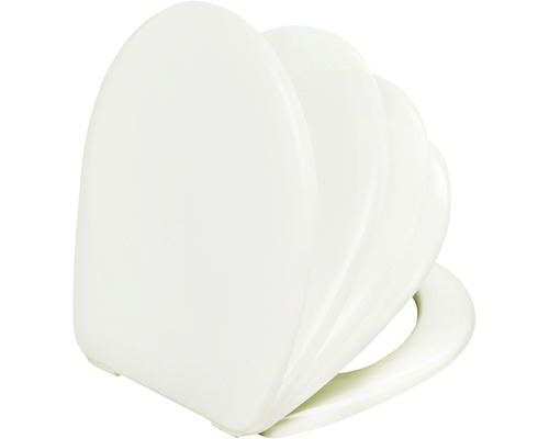 Toilettendeckel aus Kunststoff