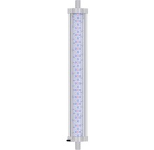Aquariumleuchte mit LEDs
