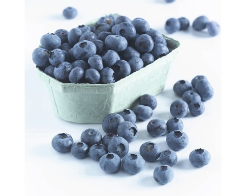 Heidelbeeren in einer Schale