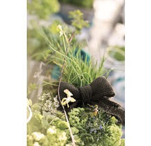 Dekorative Pflanzengruppe mit Schleife als Gartendekoration