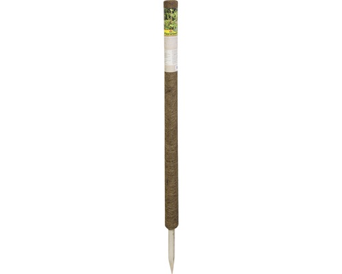 Kokosstab Pflanzstab Kokos FloraSelf Nature H 110 cm Ø 4,5 mm braun, verlängerbar Floraself Pflanzsäule zur Bodenverbesserung
