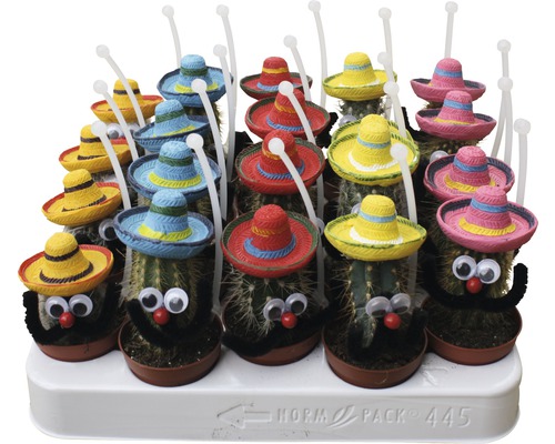 Eine Anordnung von Kakteen mit bunten Sombreros, Kulleraugen und Schnurrbärten in Töpfen.