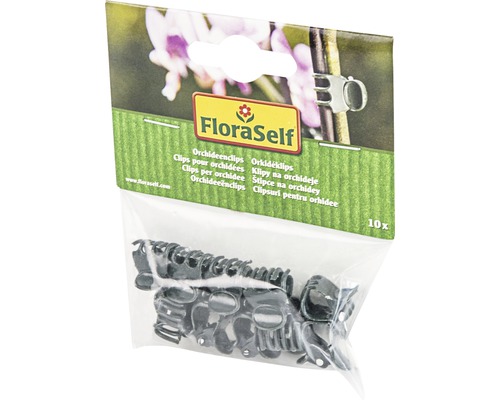 Packung mit zehn Orchideenclips