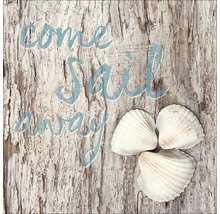 Dekoratives Schild mit der Aufschrift Come Sail Away und Muscheln auf Holz