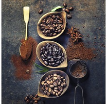 Anordnung von Kaffeebohnen, Kaffeepulver und Kaffeefilter