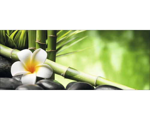 Glasbild Flowers Stones Bamboos III 50x125 cm GLA1846