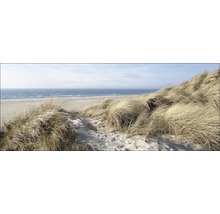 Düne mit Strandhafer und Sandstrand