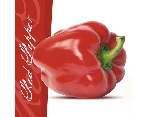 Glasbild Red Pepper 20x20 cm GLA432