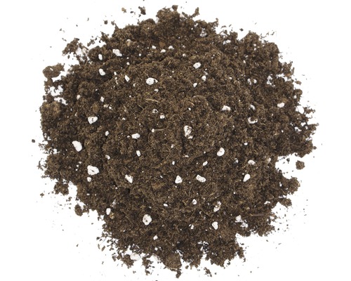 Erde mit Perlit für Pflanzen