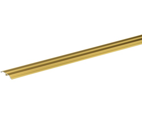 Übergangsprofil Skandor Dowel Fix Nr. 6 gold eloxiert 900x37 mm Profilleiste aus Metall mit Dekor