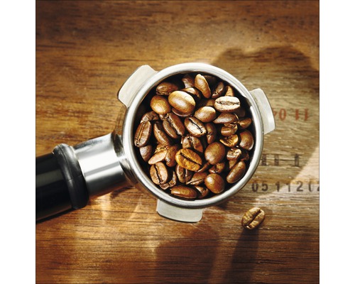 Glasbild Kaffee Arabica II 20x20 cm GLA784