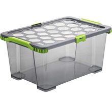 Transparente Aufbewahrungsbox aus Kunststoff mit Deckel