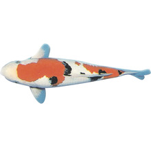 Koi-Karpfen mit orangen und schwarzen Flecken