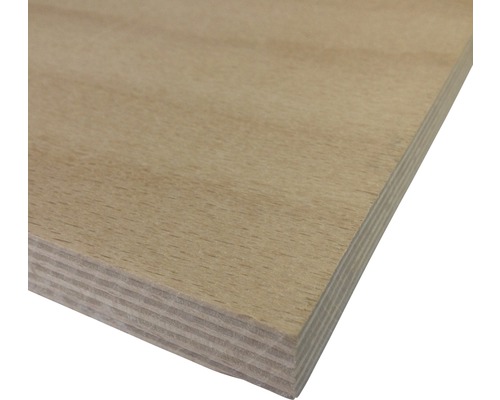 Multiplexplatte Platte unbehandelt holz 2200,0 x 1250,0 x