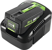 For-q 40V Lithium Akku mit Ladegerät