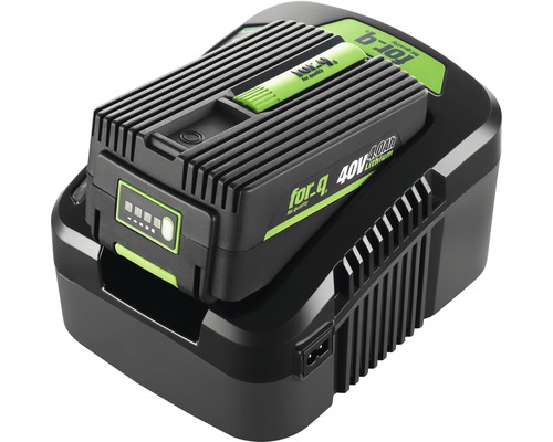 For-q 40V Lithium Akku mit Ladegerät