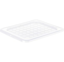 Leere, transparente Aufbewahrungsbox mit Kreuzmuster