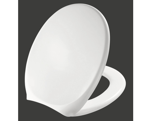 Toilettendeckel aus Kunststoff