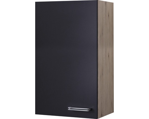 Hängeschrank Flex Well Santo anthrazit/San Remo Eiche hell 50x89x32 cm mit Drehtür Hängeschrank mit Tür und Griff