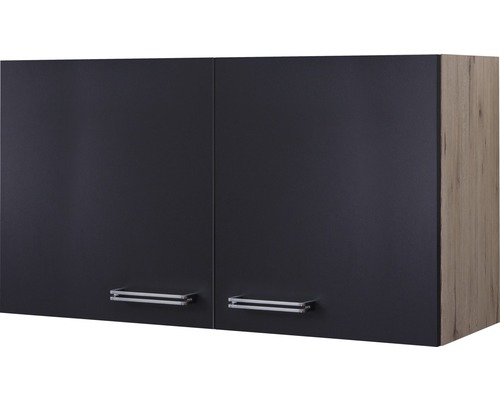 Hängeschrank Flex Well Santo anthrazit/San Remo Eiche hell 100x55x32 cm mit Drehtür Hängeschrank mit zwei Türen und Griffen