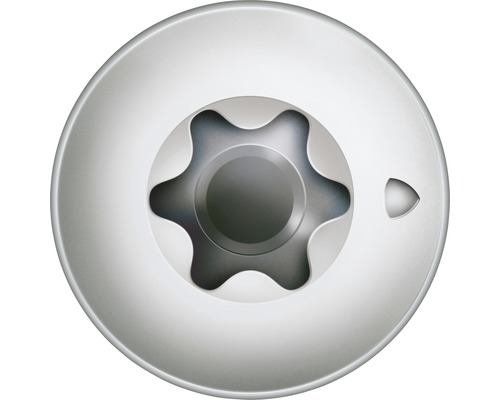 Torx Schraubenkopf Nahansicht