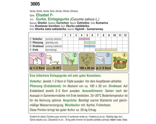 Informationen zum Anbau von Einlegegurken Elisabet F1