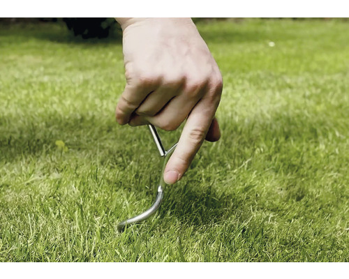 Hand steckt einen Hering in den Rasen