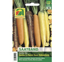 Gemüsesamen Austrosaat Karotten 'Trio Saatband'-thumb-0