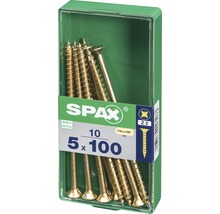 Spax Schrauben 5x100 Millimeter im Kunststoffbehälter