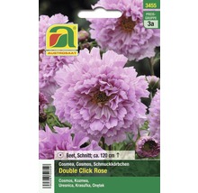 Blumensamen Austrosaat Cosmos 'Double Click Rose'