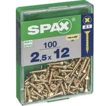 Spax Schrauben 2,5x12 Millimeter, 100 Stück in einer Packung