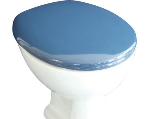 Stand-WC mit blauem Deckel