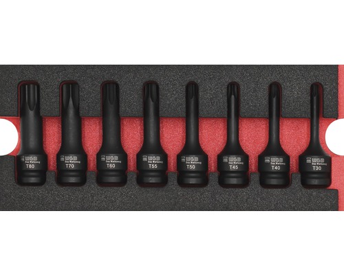 Moduleinlage WGB 1/2" TX Kraft-Schraubendreher-Einsatz-Garnitur, 268 x 38 x 114 mm WGB Torx-Bit-Satz mit den Größen T30 bis T80 in schwarzer Halterung