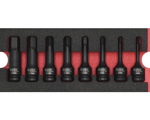 Moduleinlage WGB 1/2" Innensechskant-Kraft-Einsatz-Garnitur, 268 x 38 x 342 mm WGB Steckschlüssel-Satz mit Innensechskant-Profil, Größen 5 bis 19 Millimeter