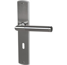 Türgriff aus Metall mit Langschild