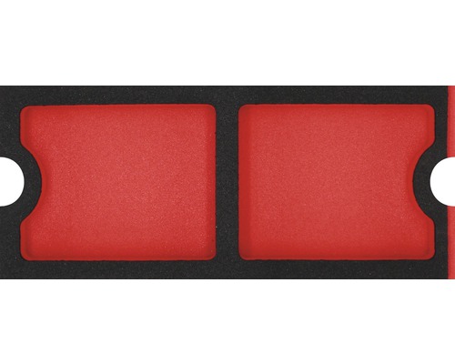 Moduleinlage WGB unbefüllt, Modul S, mit 2 Kleinteilefächern, 268 x 38 x 114 mm Schaumstoffeinlage mit zwei Fächern