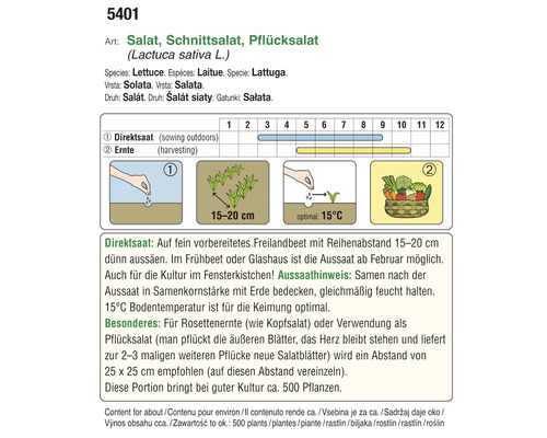 Informationen zu Aussaat und Ernte von Salat, Schnittsalat und Pflücksalat