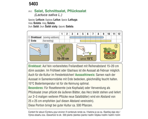 Informationen zu Pflücksalat, Aussaat und Ernte