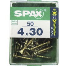 Box mit 50 Spax Schrauben, Größe 4x30