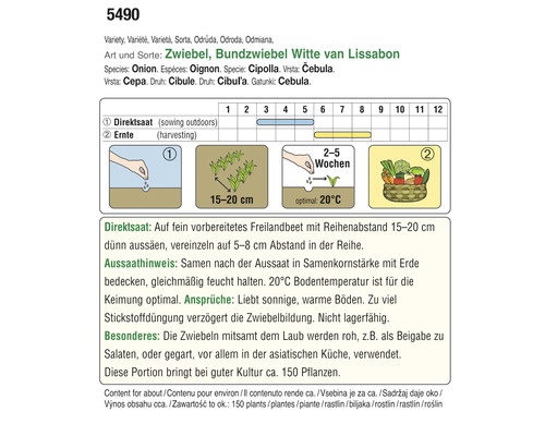 Informationen zu Aussaat und Ernte von Bundzwiebeln