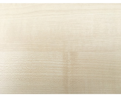 Holzstruktur Nahaufnahme