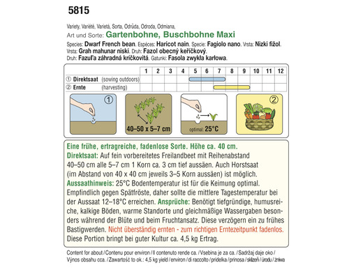 Informationen zur Aussaat und Ernte von Buschbohnen