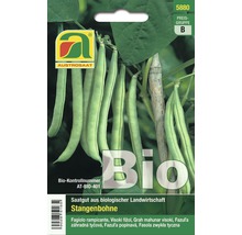 Samenpackung für Bio Stangenbohnen
