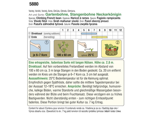 Informationen zu Neckarkönigin Stangenbohnen